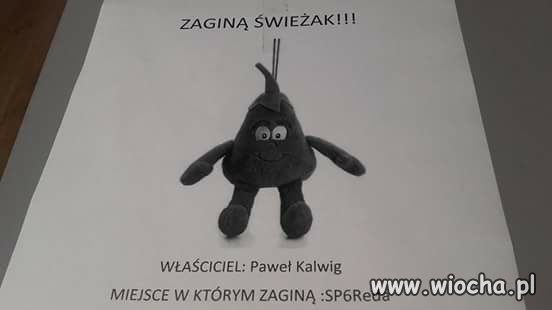 Zaginął świeżak!