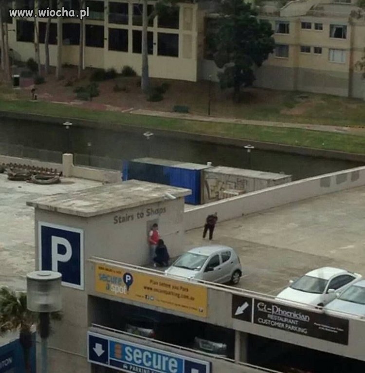 Na parkingu