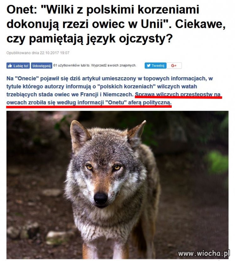Komentarz zbędny...