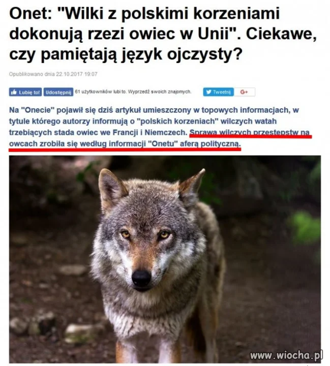 Komentarz zbędny...