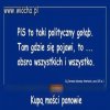 Gołąb