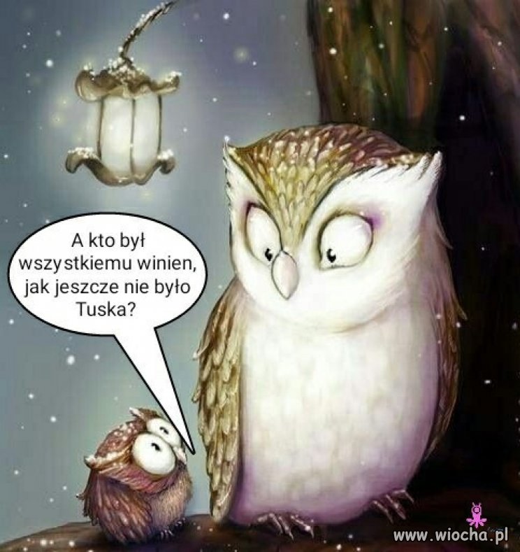 No właśnie?