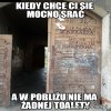 Poznań dzielnica cudów