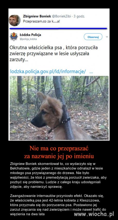 Pozytywny komentarz 