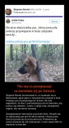 Pozytywny komentarz 
