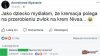 Niemieckie korzenie