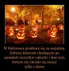 Dobry pomysł !!!
