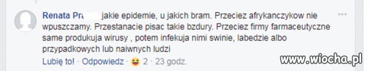Świnie i łabędzie