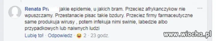 Świnie i łabędzie