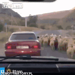 Z cyklu wyrwanie laski 