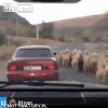 Z cyklu wyrwanie laski 