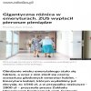 Pierwsze skutki obniżenia wieku emerytalnego