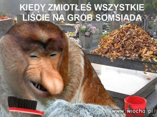 Już jutro na cmentarzu