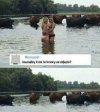 Mistrz