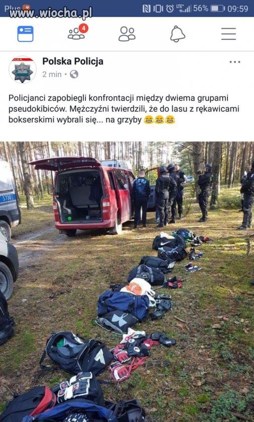 Nawet grzybiarze mają swoje ustawki