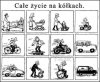 Całe życie na kółkach