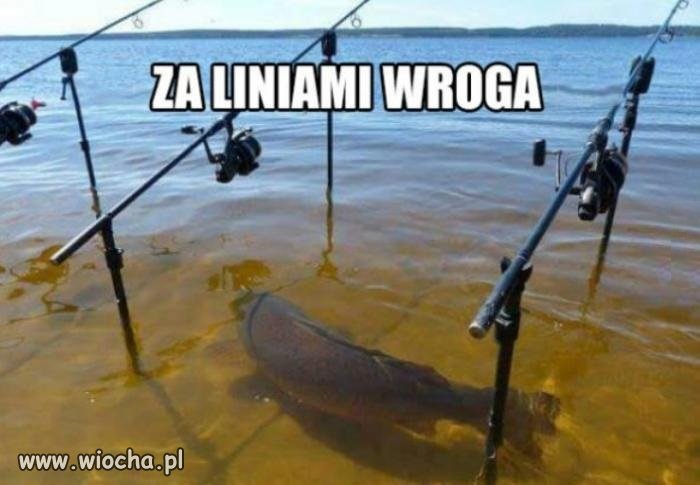 Nikt się mnie tu nie spodziewa