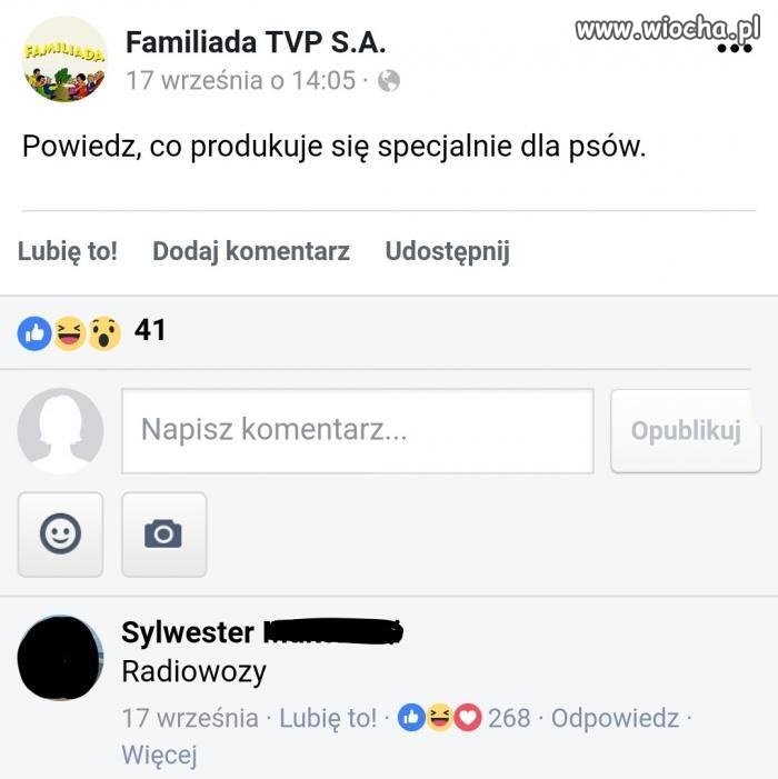 Dla psów