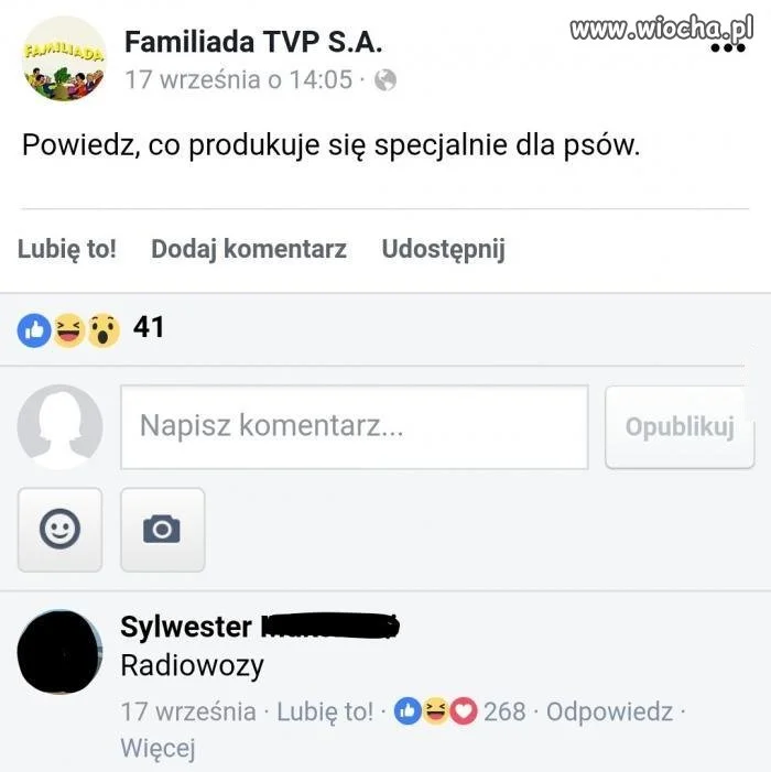 Dla psów
