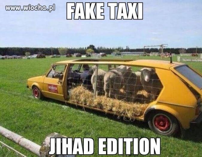 Jaka kultura takie fake taxi.
