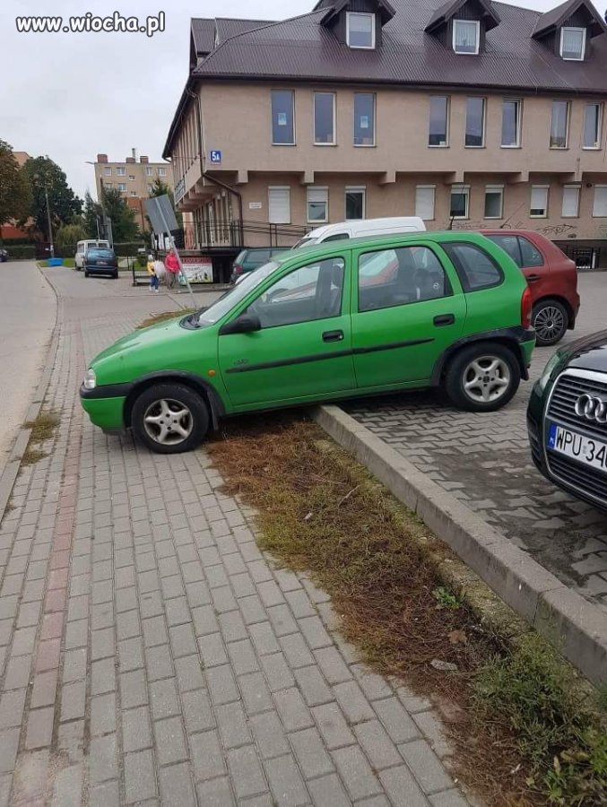 Mistrz  kierownicy