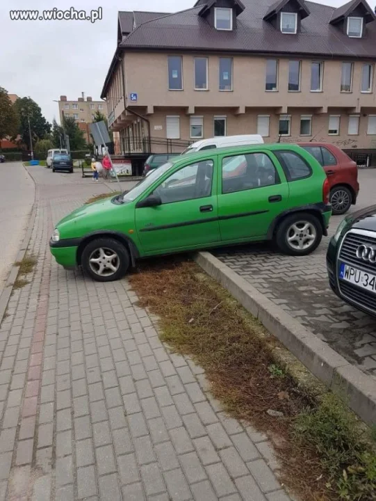 Mistrz  kierownicy