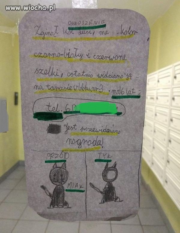 Mam nadzieję, ze kotek sie znajdzie.