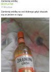 Przykładna matka