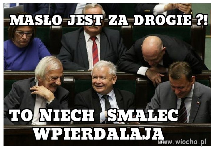Słowo dla suwerena