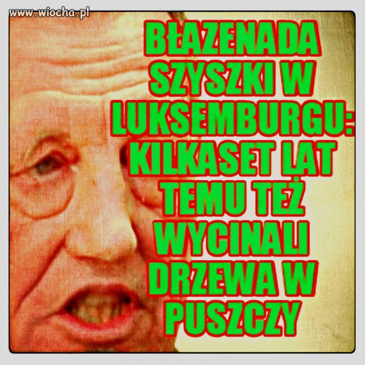 Tak samo jak debile