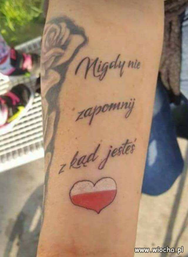 Rozumiejo?