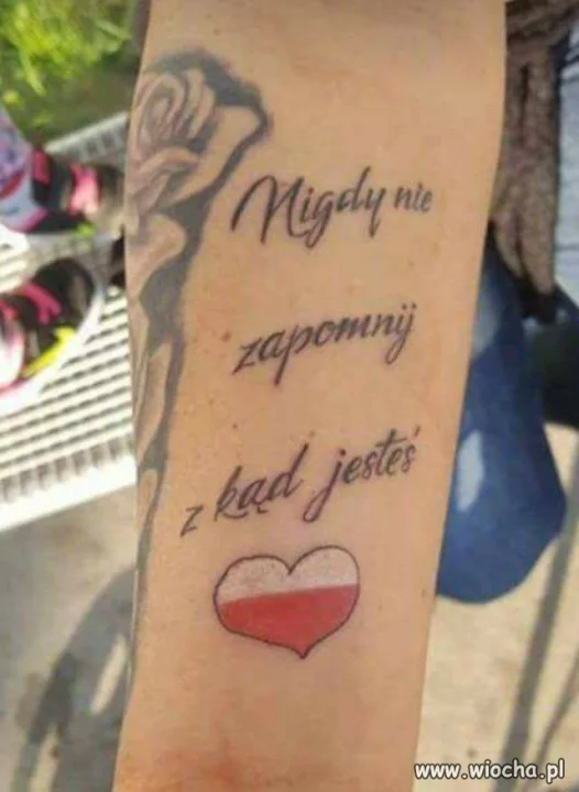 Rozumiejo?
