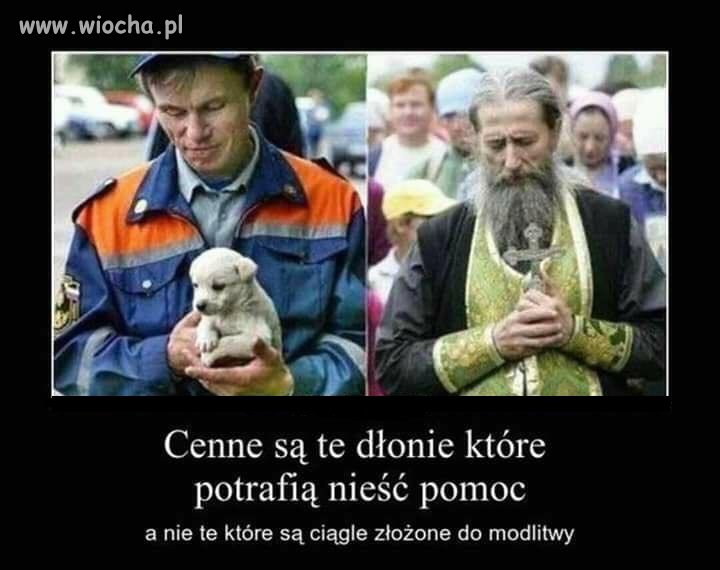 Cenne dłonie