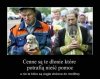 Cenne dłonie