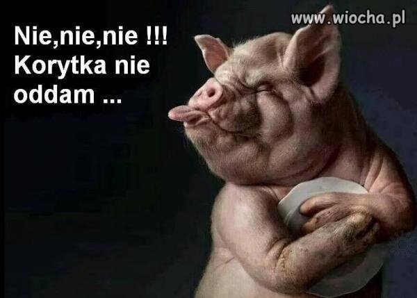 Nie oddam korytka