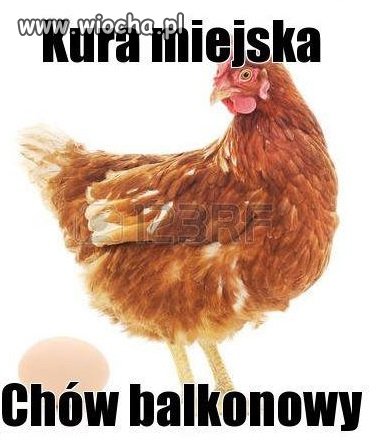 Już wkrótce