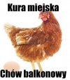 Już wkrótce