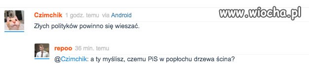 Szyszko wycinka