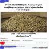 Prawdziwych przyjaciół poznasz w biedzie  
