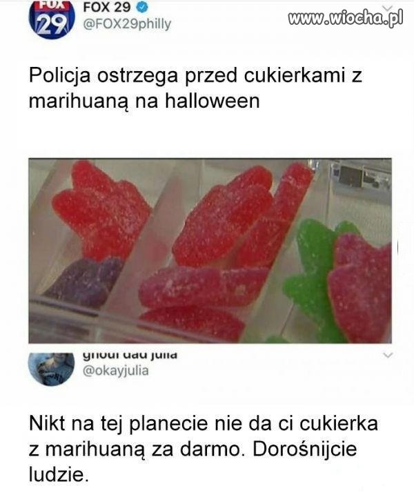 W sumie logiczne