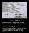 Jest tam ład i porządek, co daje siłę tej grupie.