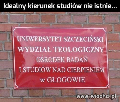 Idealny kierunek studiów nie istnie...