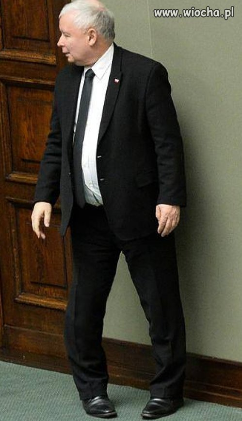 Przez te wasze zawistne wstawki na PIS