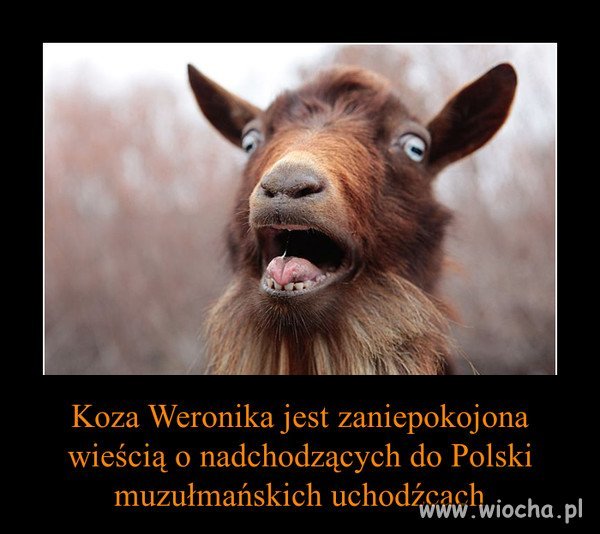 Koza Weronika