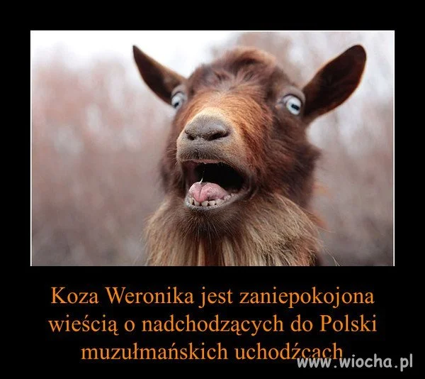 Koza Weronika