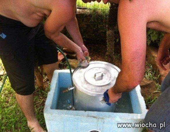 Buzie widzę w tym brzuchu
