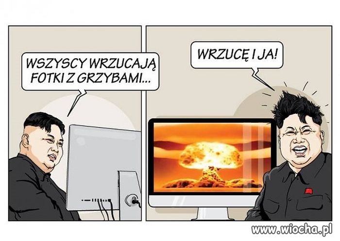  Grzybiarze obecnie są na topie