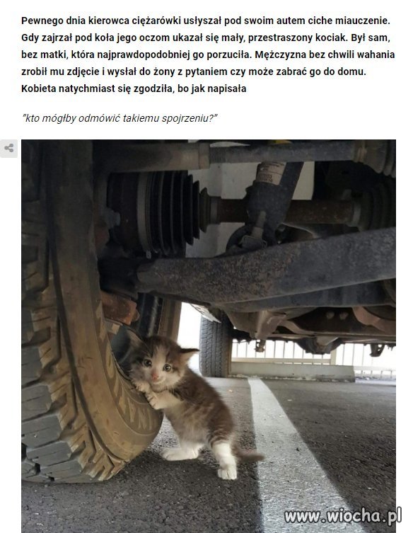 No weź i nie weź