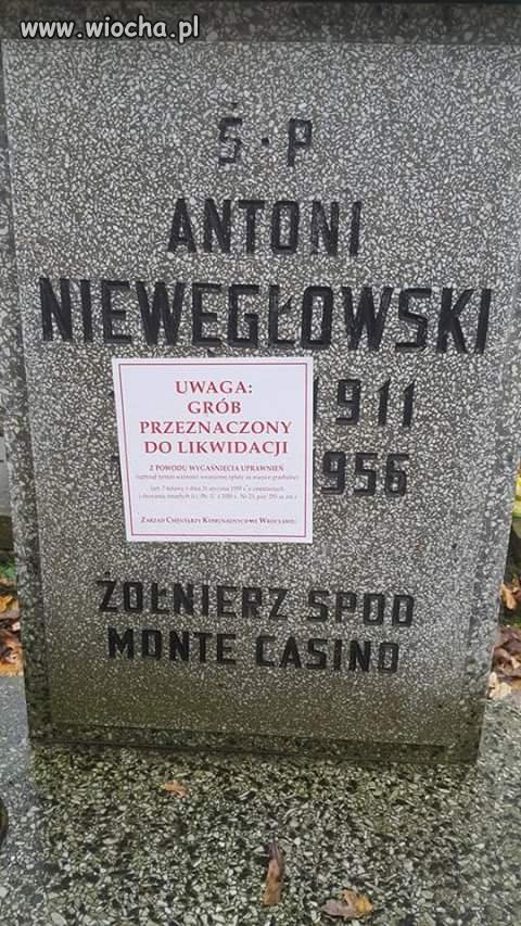 Grób żołnierza spod Monte Casino 