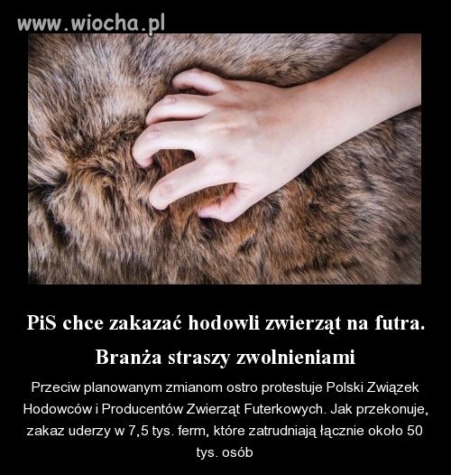 Czyżby kolejni ludzie